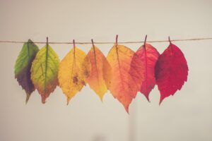 time 2 care - the 5 phases of change