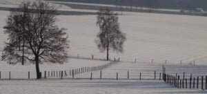 Elements2Balance - winter