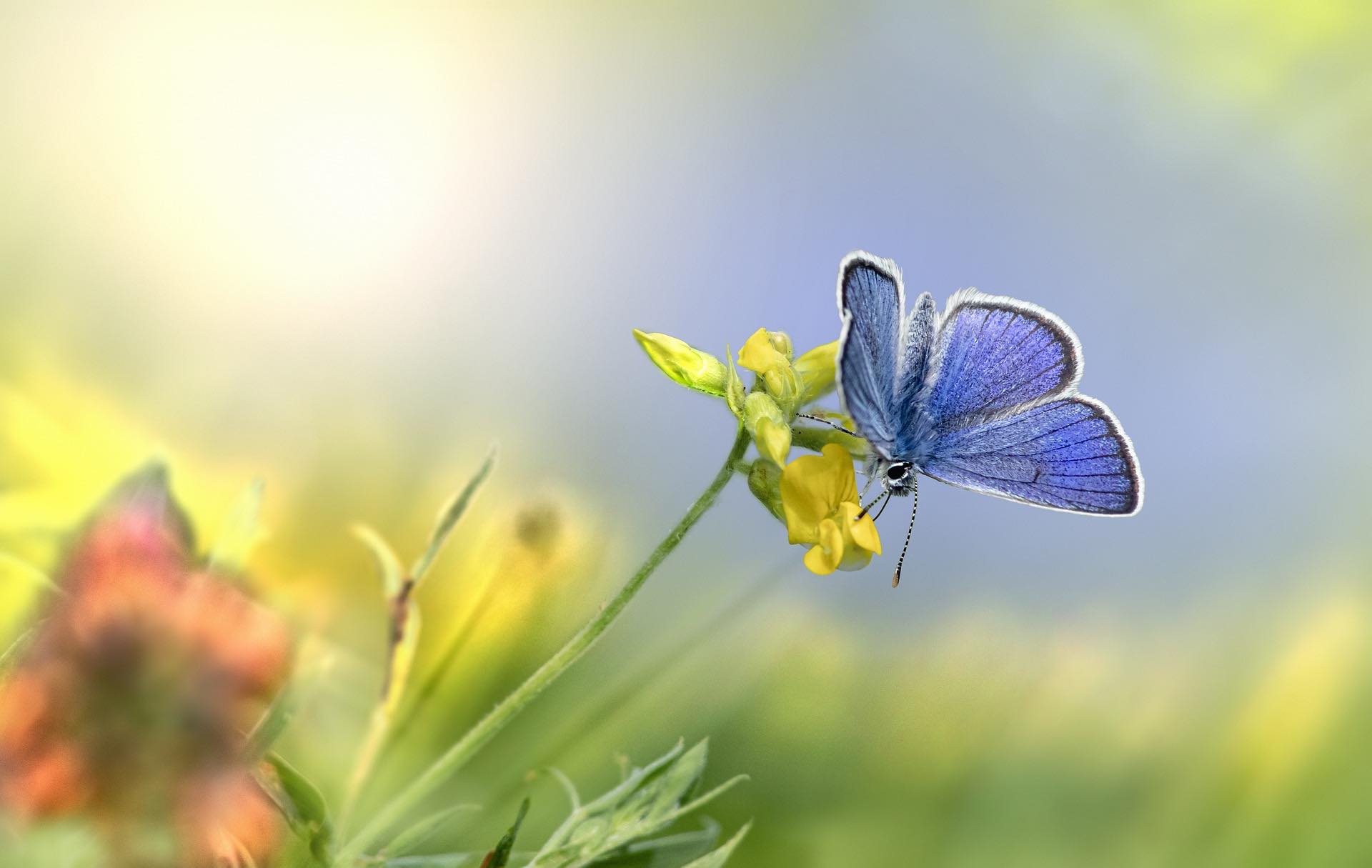 Elements2Balance - Ernährung im Klima Sommer