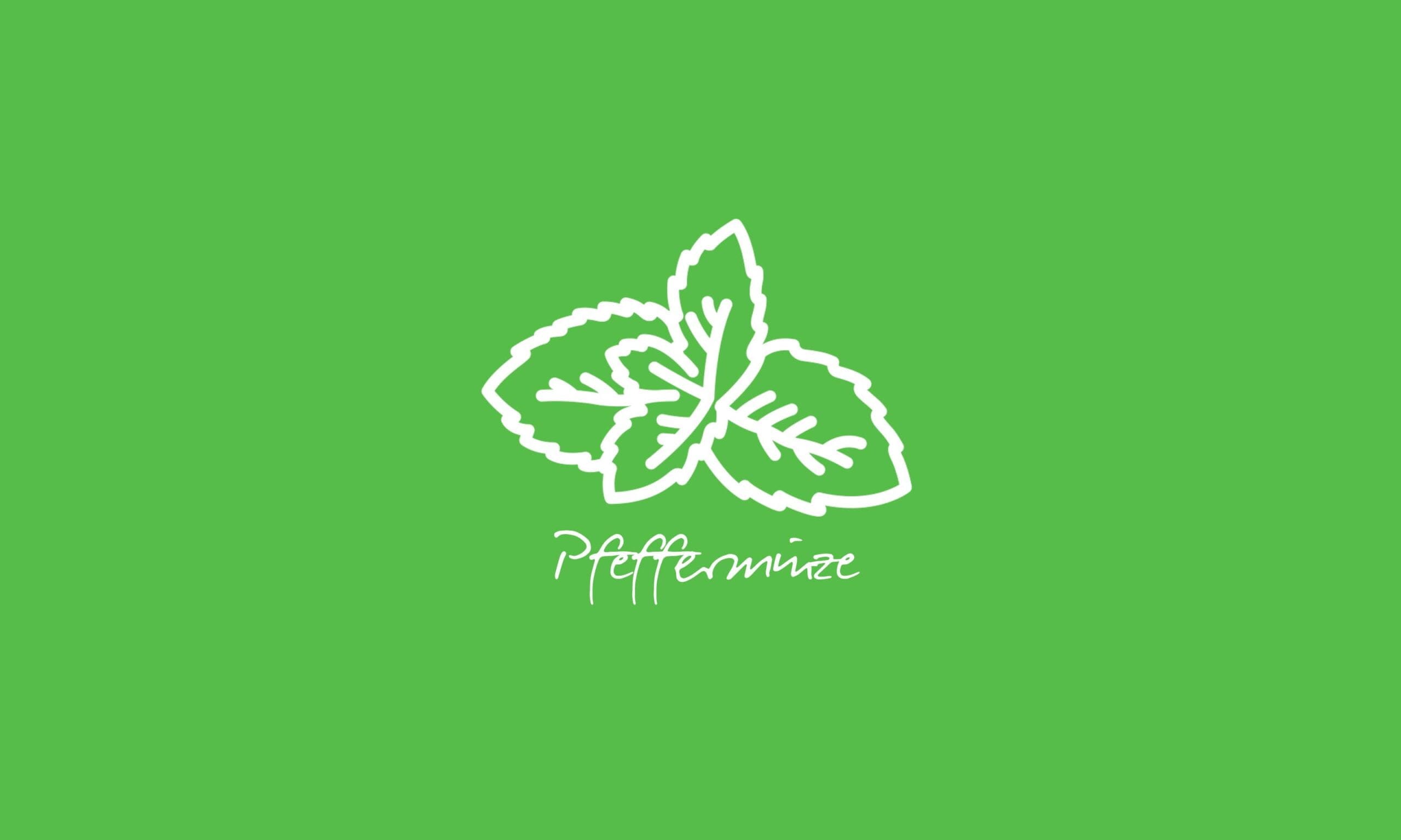 time2care - Aromatrix - Peppermint