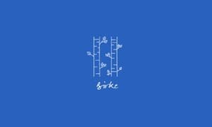time2care - Aromatrix - Birch