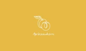 Elements2Balance - Aromatrix • Trägeröl Aprikosenkernöl