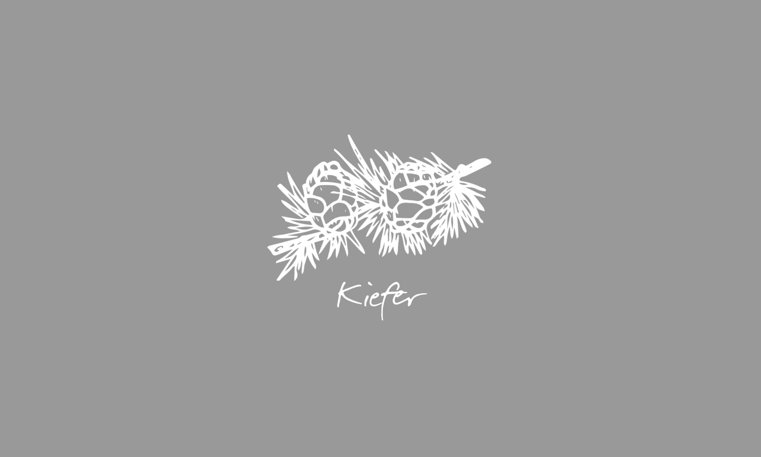 time2care - Aromatrix - Pine
