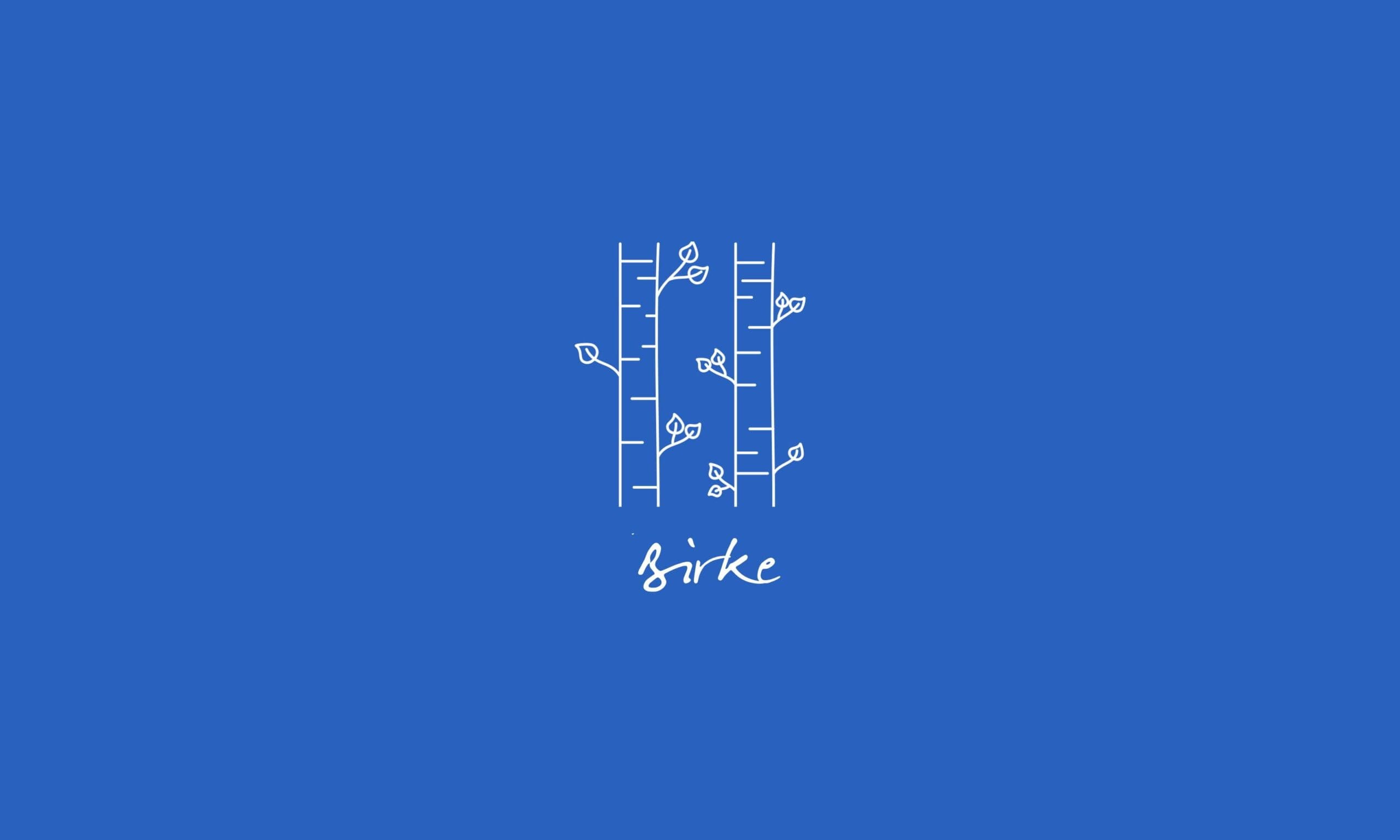 time2care - Aromatrix - Birch