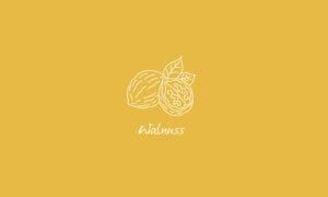 Elements2Balance - Aromatrix • Trägeröl Walnussöl