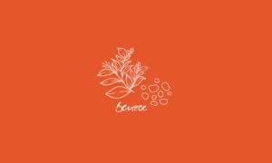 Elements2Balance - Aromatrix • Erde • Benzoe