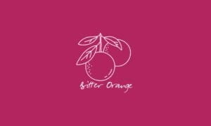 Elements2Balance - Aromatrix • Feuer • Bitter Orange