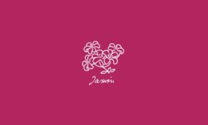 Elements2Balance - Aromatrix • Feuer • Jasmin