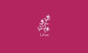 Elements2Balance - Aromatrix • Feuer • Litsea