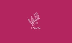 Elements2Balance - Aromatrix • Feuer • Narde