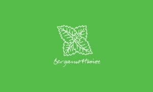 Elements2Balance - Aromatrix • Holz • Bergamottminze