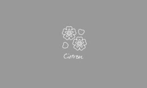Elements2Balance - Aromatrix • Metall • Cistrose
