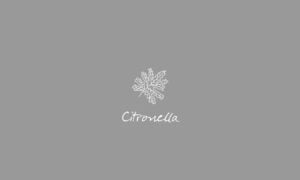 Elements2Balance - Aromatrix • Metall • Citronella