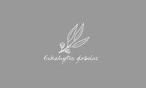 Elements2Balance - Aromatrix • Metall • Eukalyptus globulus
