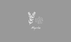 Elements2Balance - Aromatrix • Metall • Myrrhe