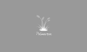 Elements2Balance - Aromatrix • Metall • Palmarosa