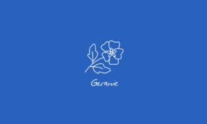 Elements2Balance - Aromatrix • Wasser • Geranie