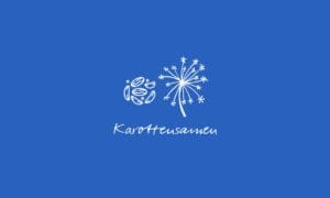 Elements2Balance - Aromatrix • Wasser • Karottensamen
