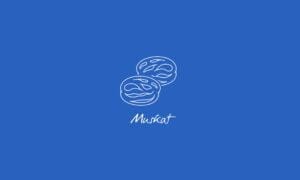 Elements2Balance - Aromatrix • Wasser • Muskat