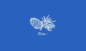 Elements2Balance - Aromatrix • Wasser • Zeder