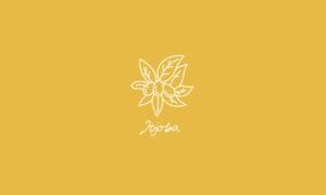time2care - Aromatrix • Trägeröl Jojoba