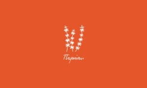 Elements2Balance - Aromatrix • Erde • Thymian