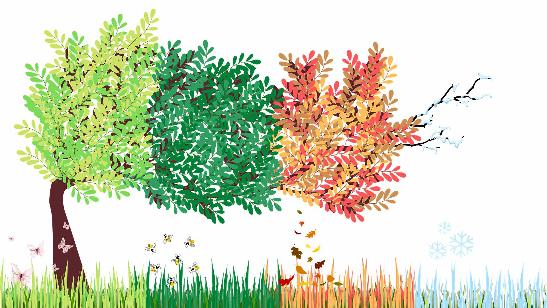 Elements2Balance - 4 Jahreszeiten Illustration