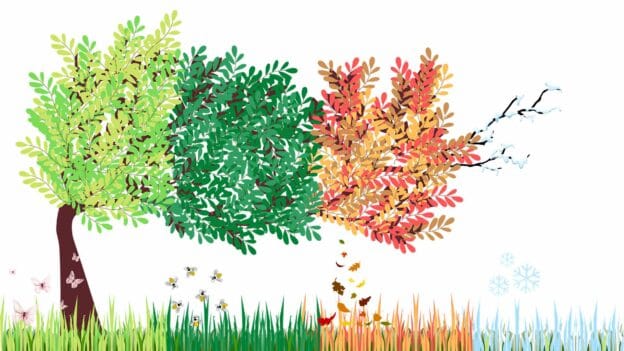 Elements2Balance - 4 seasons illustration