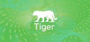 Elements2Balance - Tierkreiszeichen Tiger