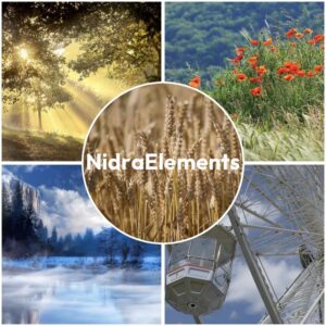 Elements2Balance - NidraElements - 5 meditations - wood, fire, earth, metal and water